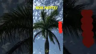 Boa noite!