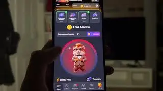 СЕЙЧАС! 29 АВГУСТА. НОВЫЙ ШИФР НА 1 МИЛЛИОН МОНЕТ В HAMSTER KOMBAT🐹