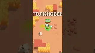 Типичные игроки на дино