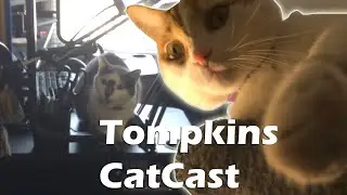 Tompkins CatCast