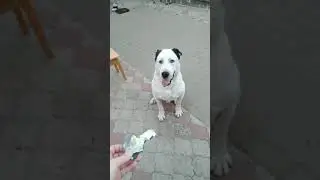 пока живы, будем жить! Всем Мира и Добра!!!