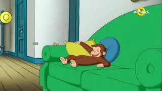 Curiosul George | Furnicuțele n-au astâmpăr 