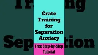 Crate Training for Separation Anxiety #cratetraining #dogseparationanxiety #puppyseparationanxiety