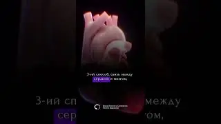 #гипноз