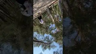 "Живи, кидай, лови". Workout в Репино. Бян-Кин-До.