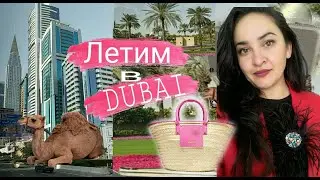 Летим в 