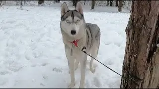 Спортивный праздник футбольной команды