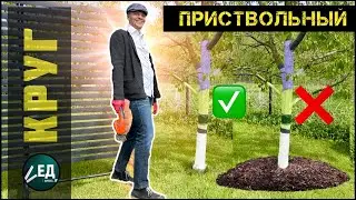 ПРИСТВОЛЬНЫЙ КРУГ нужен или ненужен