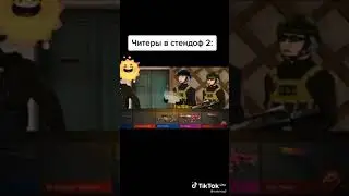 standoff 2 TikTok