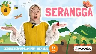 SERANGGA | Belajar Keterampilan Pra-Menulis dengan Mengenal Serangga Seperti Kupu-Kupu, Kumbang, dll