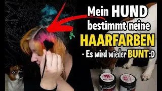 Mein HUND bestimmt meine HAARFARBEN - Es wird wieder BUNT :D - Haare tönen