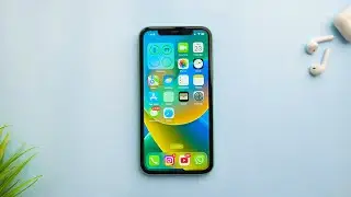 iPhone 11 in 2023 - The King is Back!