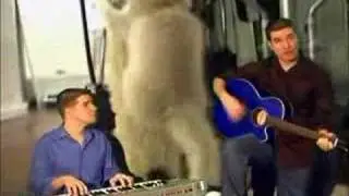 Gay Asian Kitten - Bare Naked Ladies YouTube Parody