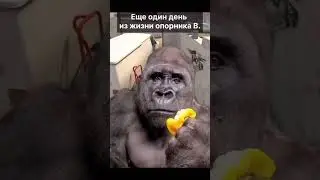 И так всегда #standoff2 #стандофф2
