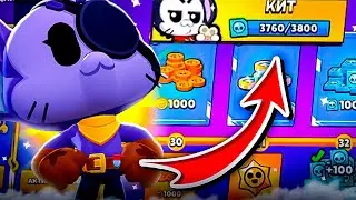 ЗАБРАЛ НОВОГО БОЙЦА КИТА | ПРОКАЧАЛ НОВОГО БОЙЦА | BRAWL START