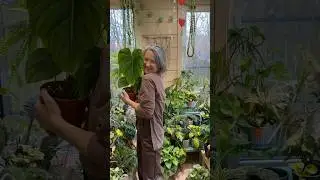 А что выберешь ты?🪴