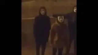 Ночные снюсоеды