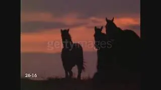 Image Bank Film All Footage Scenes