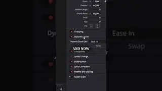 Dynamic zoom in Davinci Resolve