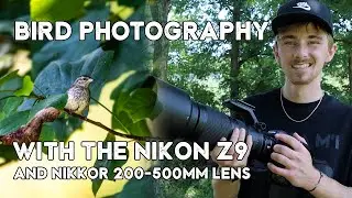 Bird Photography With the Nikon Z9 and 200-500mm Lens