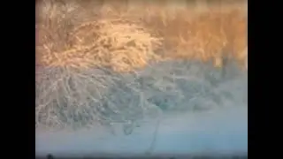 Snowstorm February 1967 — Gorham, Maine