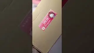 Little Figures' Klee figure raffle prize unboxing (w/ Little merchies bonus)