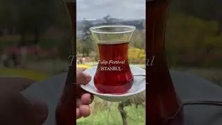 ISTANBUL TULIP FESTIVAL 2023