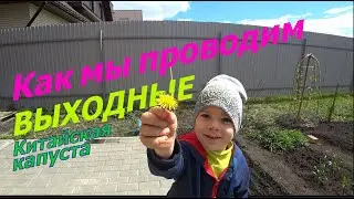 Сажаем ПАК-ЧОЙ впервые! КАК МЫ ПРОВОДИМ ВЫХОДНЫЕ.