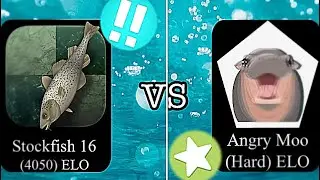 Stockfish 16 Vs Angry Moo