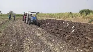 MF 7250 PU Vs Powertrac Euro 50 Demo