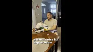 Rocky is facing his biggest challenge, but he's a fighter