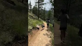 When in Boulder!  #trail #trailrunning #boulder #colorado