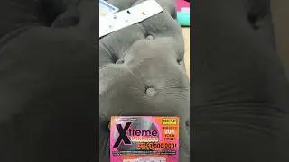 Xtreme Winnings 