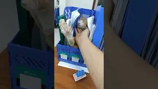 Жаркие будни и скидки в Томико #fashion #опт #детскаяодеждаоптом #cat #турция