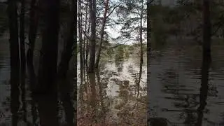 Озеро Акулинкино затопило полностью 