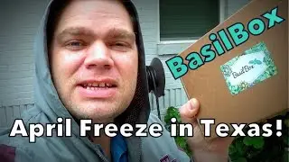 Crazy Texas Weather in April & Basil Box Unboxing