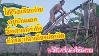 Ep.830 ใช้ชีวิตเรียบง่าย อยู่บ้านนอก รื้อศาลาเก่าทิ้งทำสระปลาเลี้ยงปลานิล #แม่บ้านอีสาน