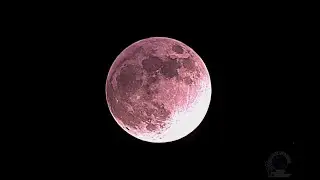 Live Partial (almost a total!) Lunar Eclipse from Hawaii, 19 November 2021