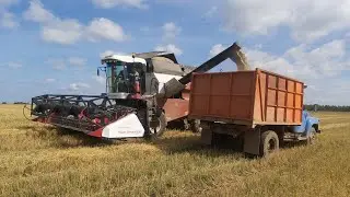 Заготовка сенажа и уборка ржи
