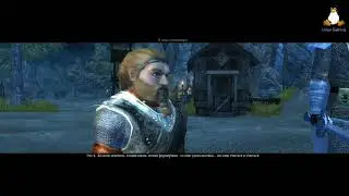 Neverwinter Nights 2 / Proton 4.2-5 (Steam)