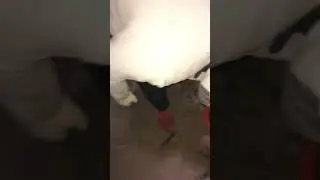 Стройка, засыпаем шахту лифте песком но что то пошло не так