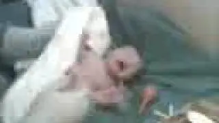 Milena Jazmin recien nacida