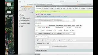 Database Interaction with User Interface