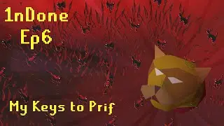 My Key to SOTE is Thousands of Cats | 1nDone Ep6