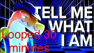 Tell me what I am - perfect loop 30 minutes