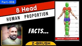 How to get Human Proportion in 8 Head_FACTS_Zbrush_P008