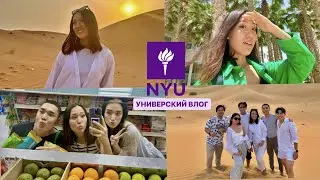 МОЯ СТУДЕНЧЕСКАЯ ЖИЗНЬ В NYUAD🇦🇪