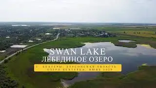 Лебединое озеро. Swan Lake
