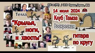 ГИТАРА ПО КРУГУ - Крылья, ноги и хвосты - 14 июля 2024 г.