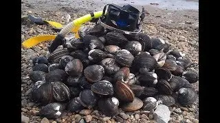 спизула таймлапс
